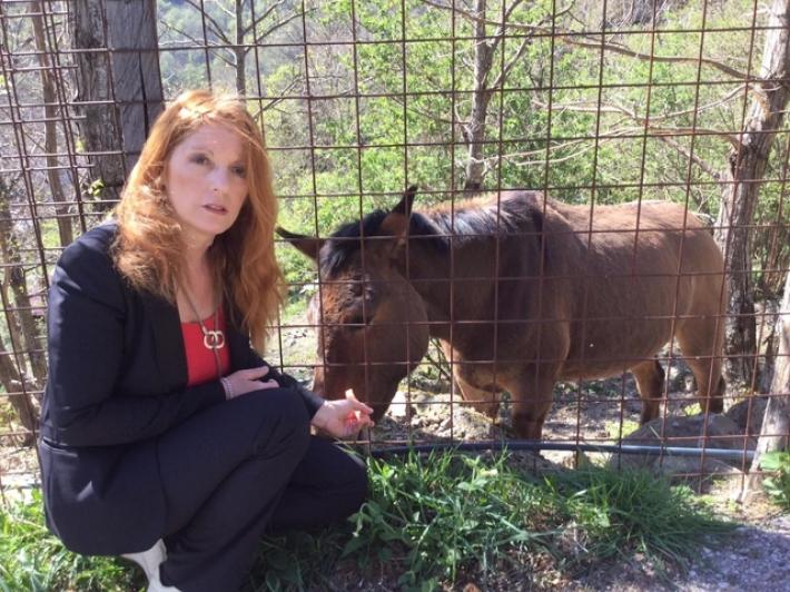 Pdl di Brambilla (Nm), Cavalli animali d'affezione, basta palio e macellazione