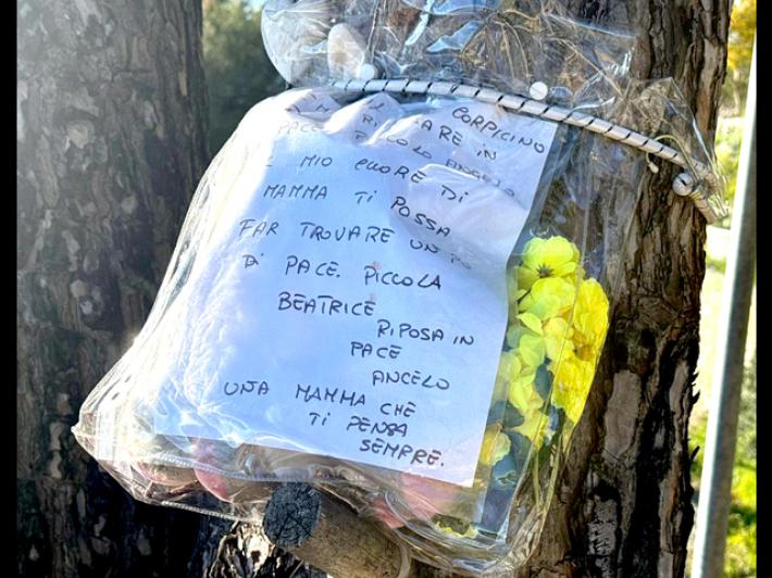 Bimba morta: criminologo assister&agrave; all'accertamento tecnico irripetibile dei Ris