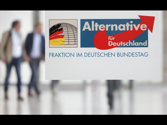 Tribunale tedesco sospende la definizione di Afd come gruppo estremista