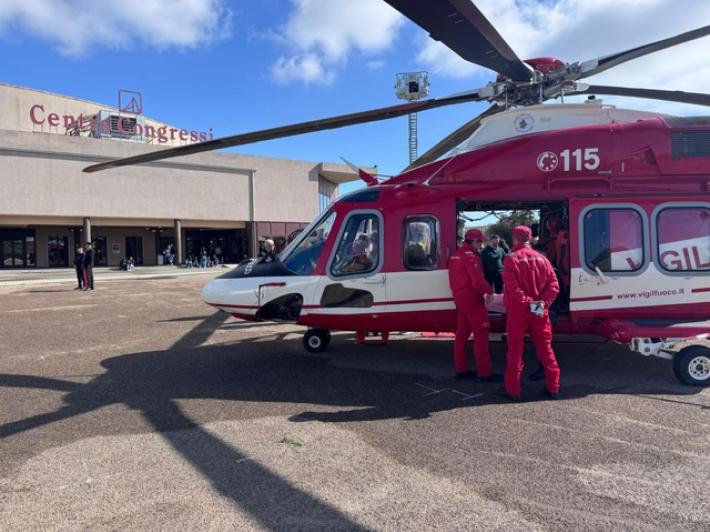 Vigili del fuoco salvano cane di 70 chili caduto in scarpata da 4 giorni