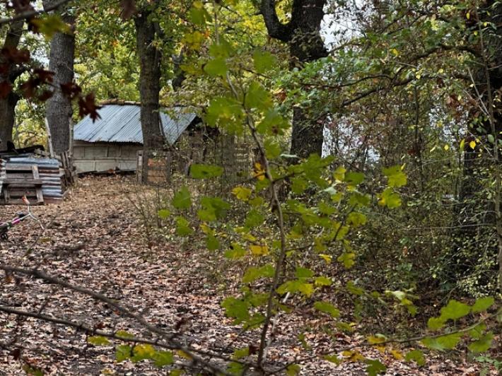 Famiglia nel bosco, Marsilio 'decisione inopportuna e sproporzionata'