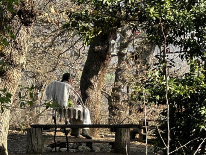 La solitudine di Catherine, rinchiusa nella casa del bosco