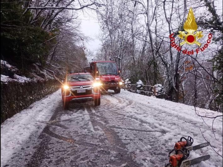 Forte nevicata nel Varesotto, incidenti stradali e piante cadute