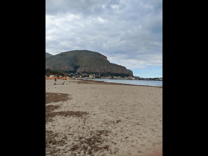 Regione, via a gare per spiaggia Mondello ma stop se Italo-belga vince al Tar