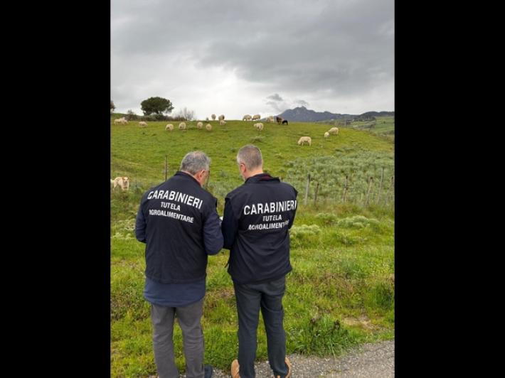 Truffa all'Agea, sequestrati in Sicilia beni per oltre 1,4 milioni