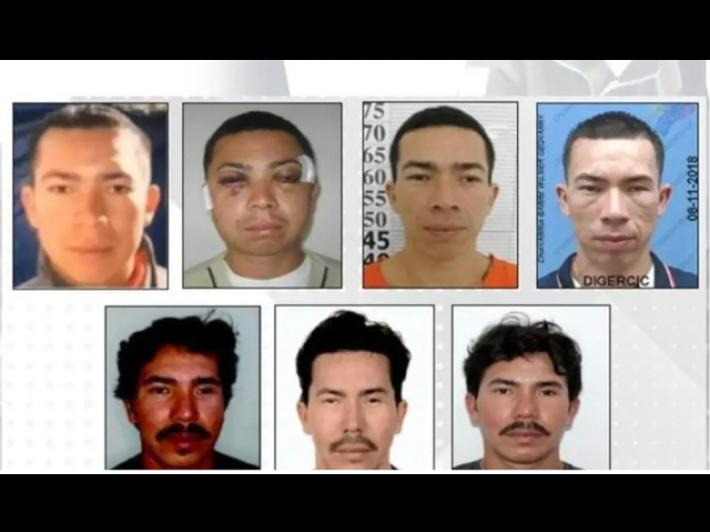 Catturato in Messico 'Lobo Menor', capo della gang ecuadoriana dei Los Lobos