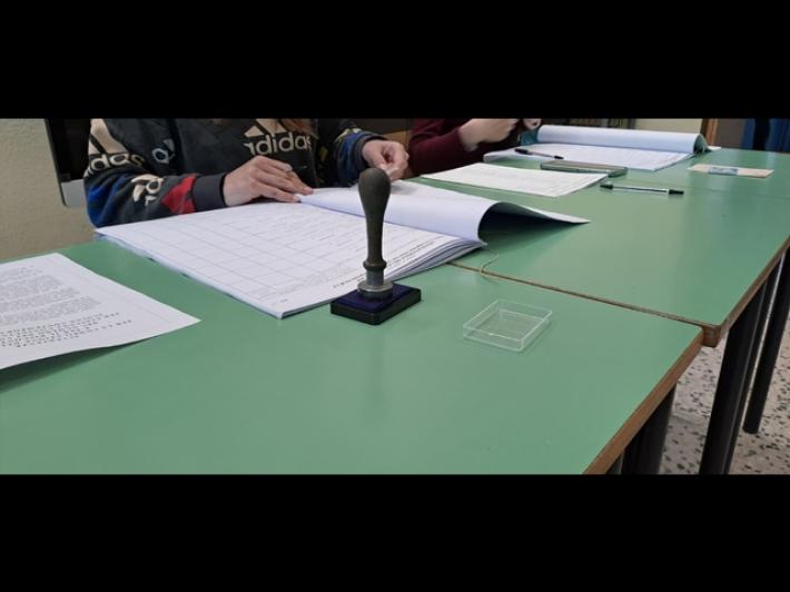 Ascensori fuori uso, seggi spostati al piano terra in due scuole Cagliari
