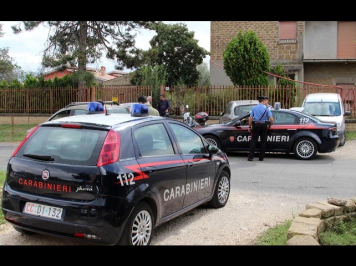 Paura per una bimba di due anni aggredita da un pitbull a Bari