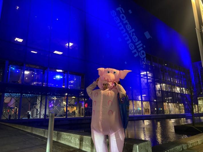 I maiali uno dei temi centrali e pi&ugrave; divisivi nel voto in Danimarca