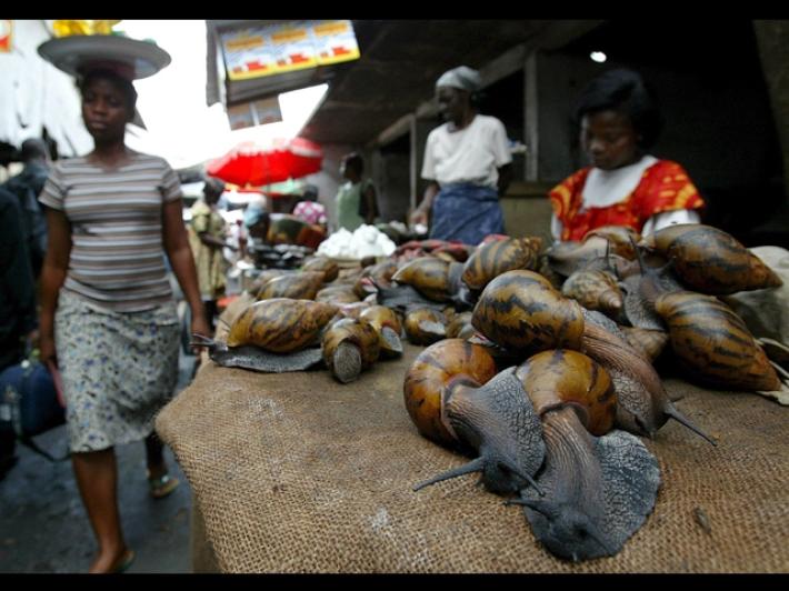 Storico voto all'Onu, il Ghana chiede un risarcimento per la schiavit&ugrave;