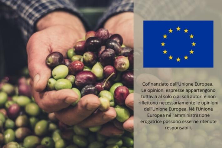 Fitto: "Export agroalimentare Ue resta solido, settore chiave per crescita"