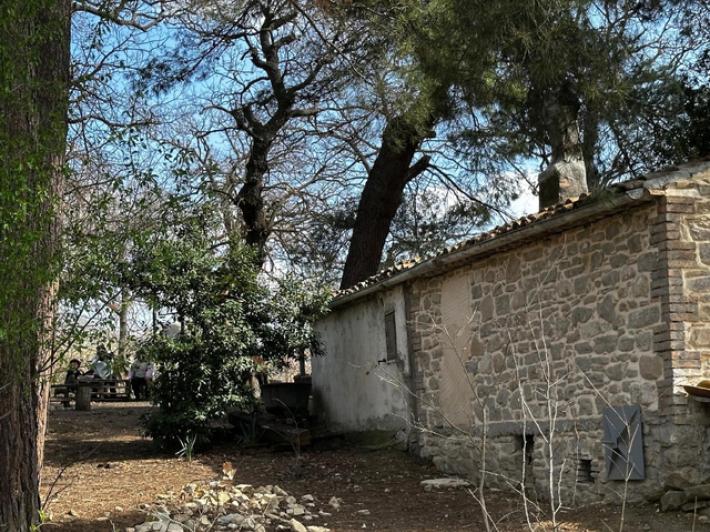 Famiglia nel bosco, Catherine e Nathan partiti per Roma, li attende La Russa