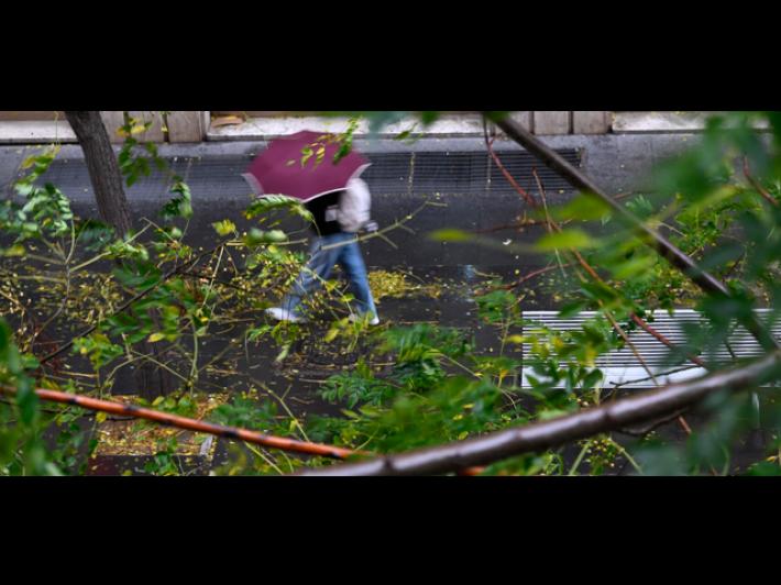 Vento forte in Fvg, raffica record a 216 km orari sul Monte Rest