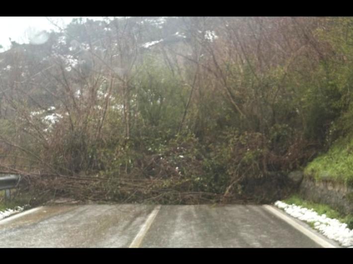 Maltempo in Molise, frana sulla sp 86 provoca chiusura al transito