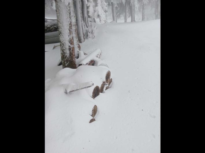 Neve in Sardegna per la vigilia di Pasqua, 10 cm e temperature sottozero