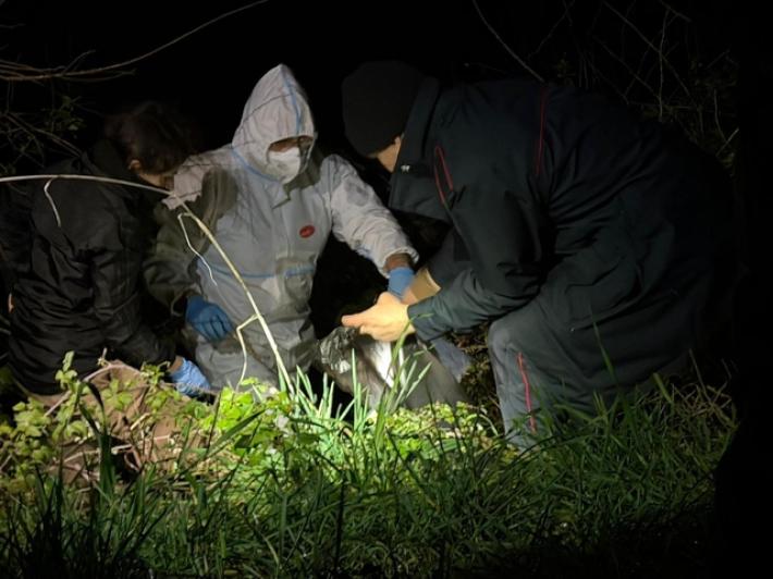 Resti di cani morti trovati nelle Marche, indagato un uomo