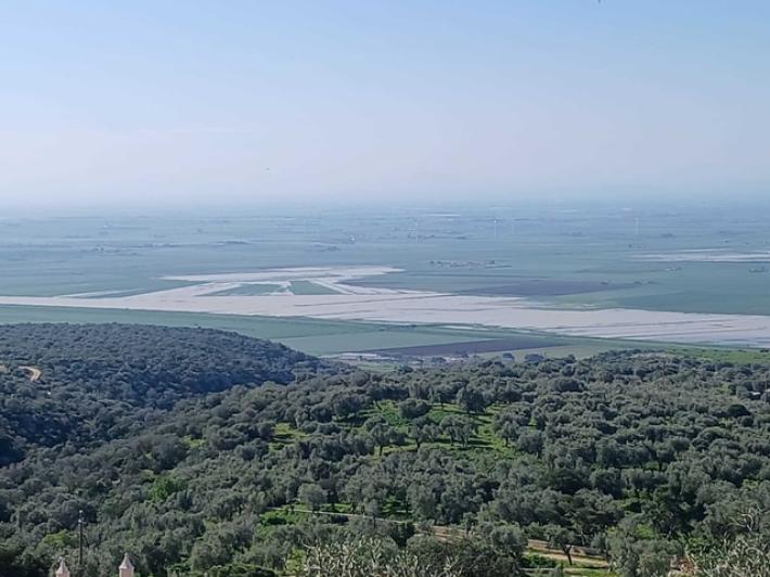Maltempo nel Foggiano, agricoltore 'c'&egrave; un metro di acqua nei terreni'