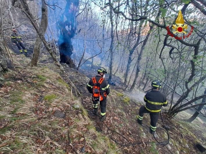 Incendio in Appennino bolognese, situazione sotto controllo