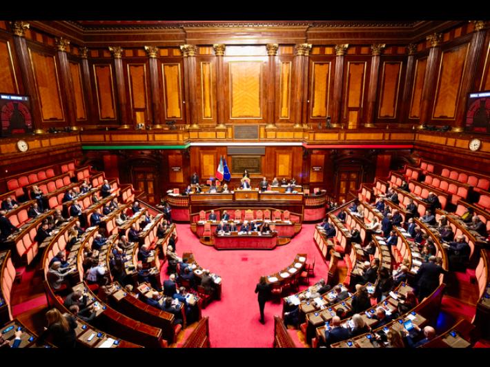 Ok del Senato al dl bollette, &egrave; legge