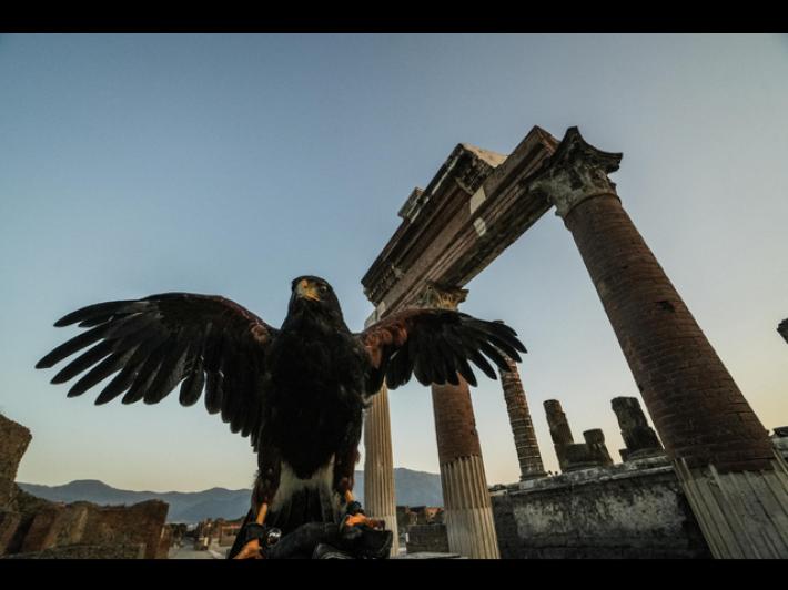 Cnr, i siti archeologici santuari viventi della biodiversit&agrave;