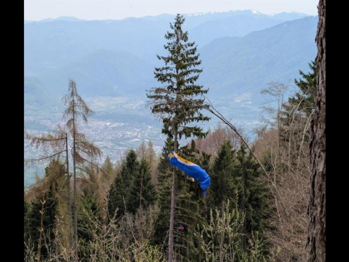 Cade con il parapendio e rimane appesa a un albero a 30 metri da terra