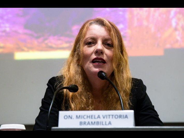 Commissione Infanzia, ragazzi protagonisti di un'audizione in Parlamento