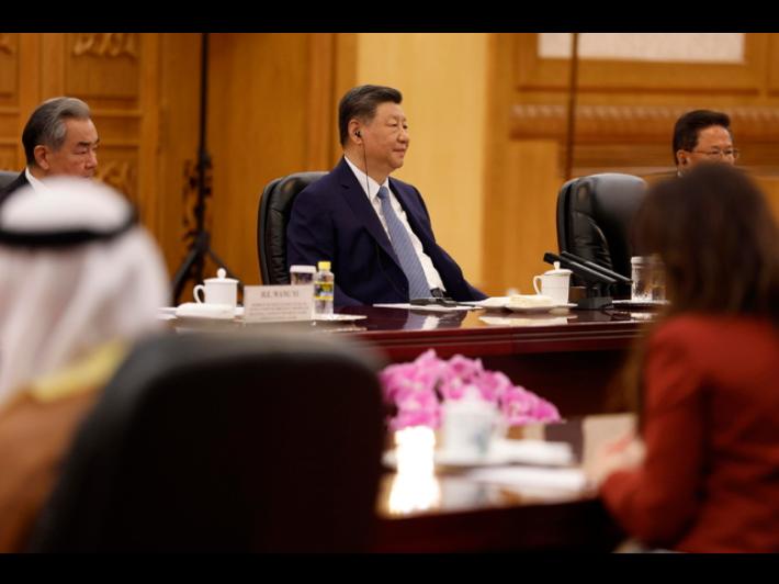 Xi presenta un piano in 4 punti per la pace al principe emiratino Bin Zayed