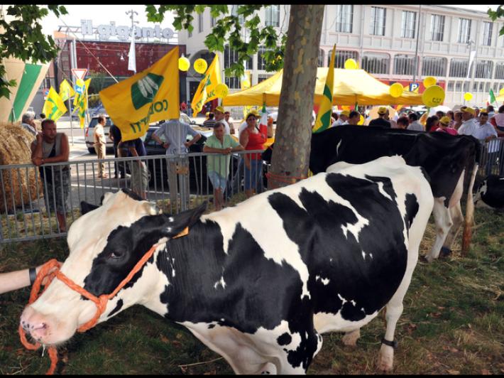 Coldiretti Torino e Universit&agrave; insieme per la ricerca sulla qualit&agrave; dell'aria