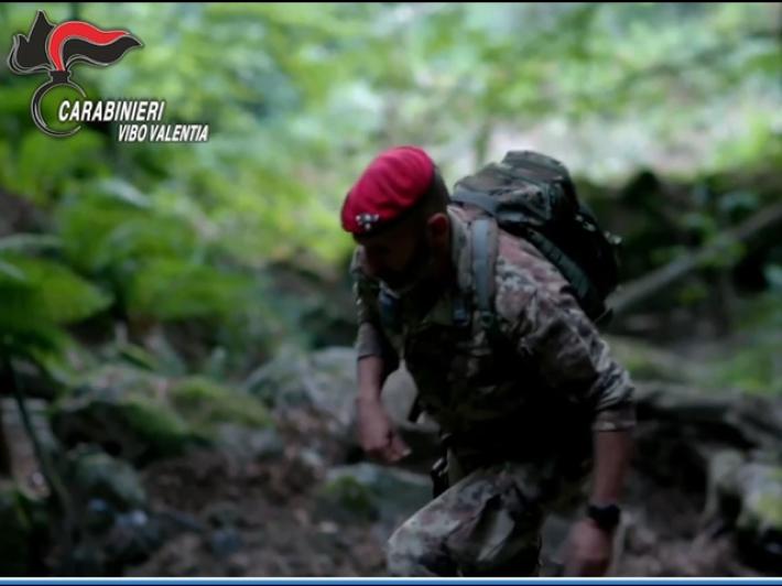 'Ndrangheta, blitz dei carabinieri nel vibonese, 15 provvedimenti