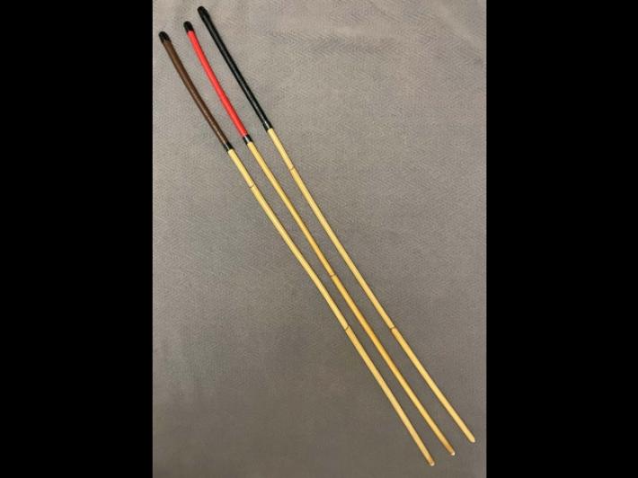 Singapore, sanzioni e frustate contro la cattiva condotta a scuola entro il 2027