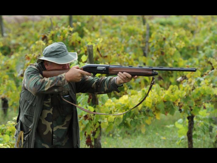 Leal, con ddl caccia arretramento senza precedenti nella tutela della fauna