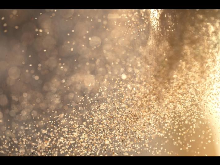 Studio Sissa, fuga o meta le due reazioni dei microorganismi all'ambiente