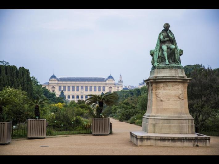 A Parigi allarme per il Museo di Storia Naturale, 'siamo in uno stato catastrofico'