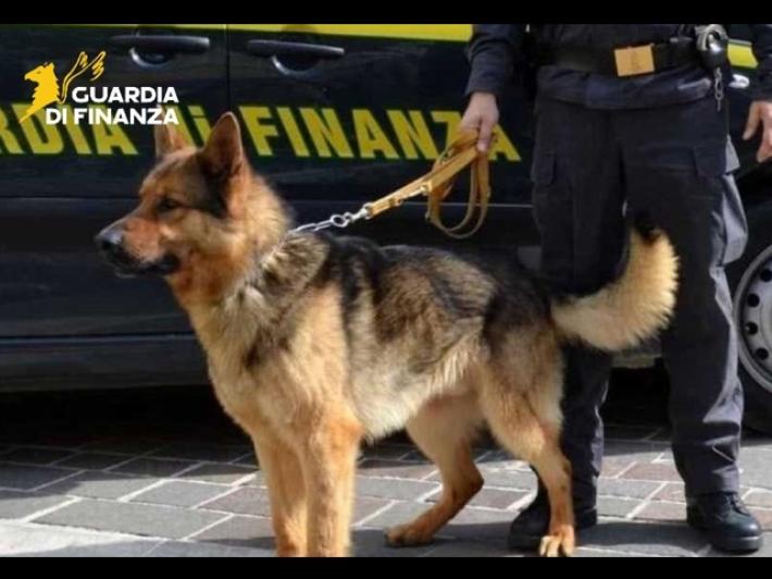 La Finanza stronca un traffico di cocaina a Parma, tre arresti