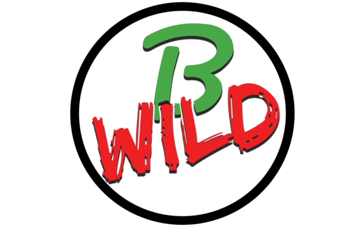 B-Wild &ndash; Storie di viaggio