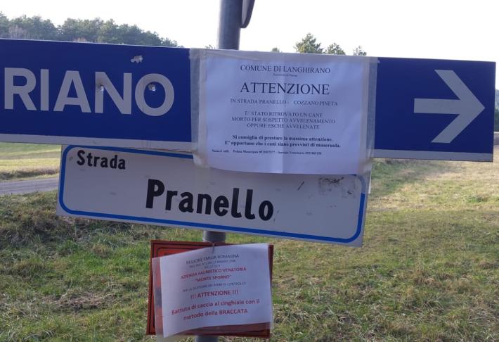 Cozzano Pineta e Riano, allarme bocconi avvelenati: cartelli sulle piante e ai bivi