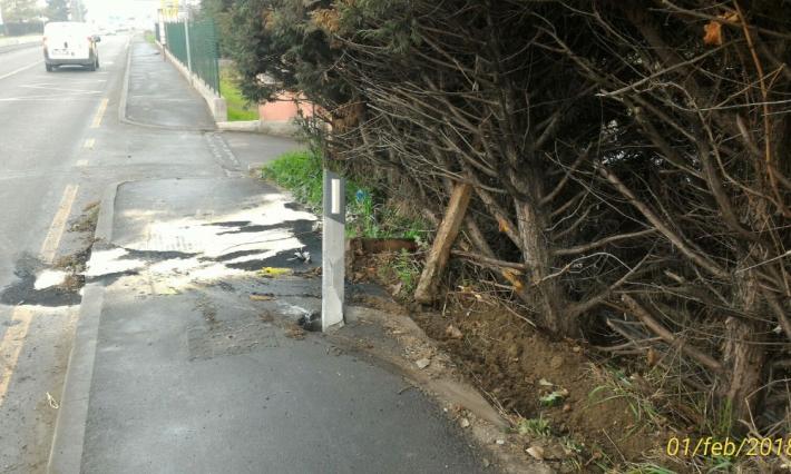 Via Langhirano, troppi schianti: arriva l'esposto