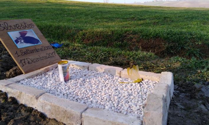 Primo sepolto al cimitero per animali: il gatto Silvestro