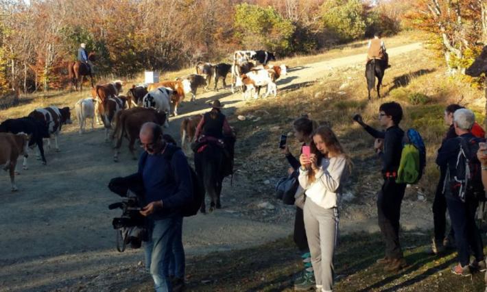 Transumanza, lezione tra i monti per gli studenti del Bocchialini