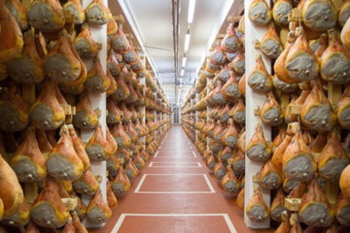 Maiali danesi per i prosciutti dop: patteggiano in dieci