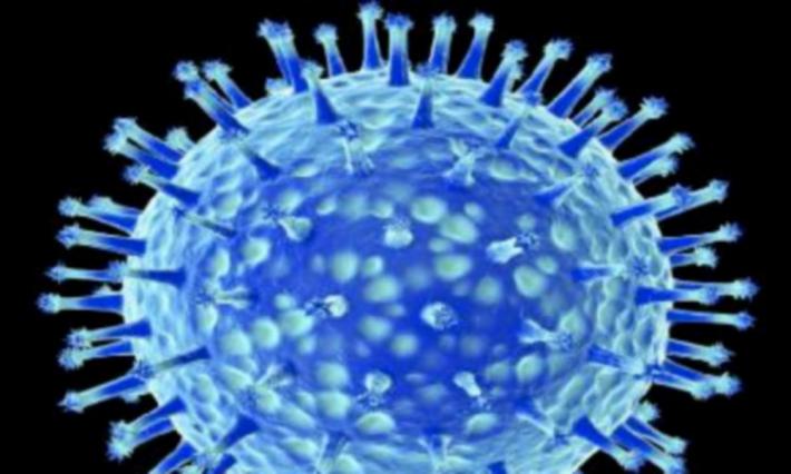 Sesso "rischioso": aumentano i casi di epatite A e sifilide 