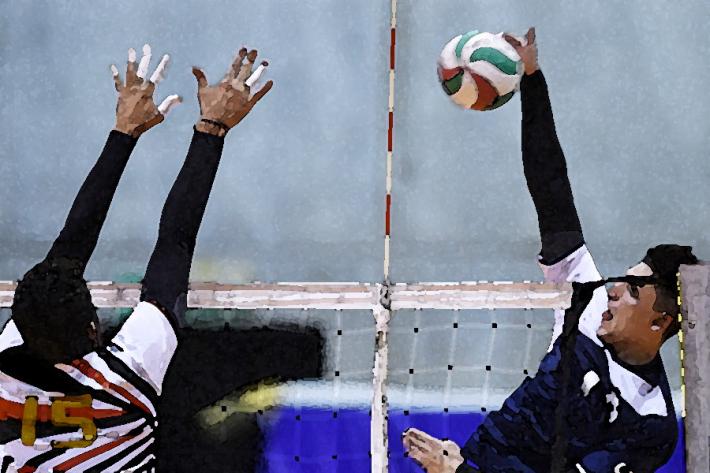 La Fipav: &laquo;Palestre, va trovata una soluzione&raquo;