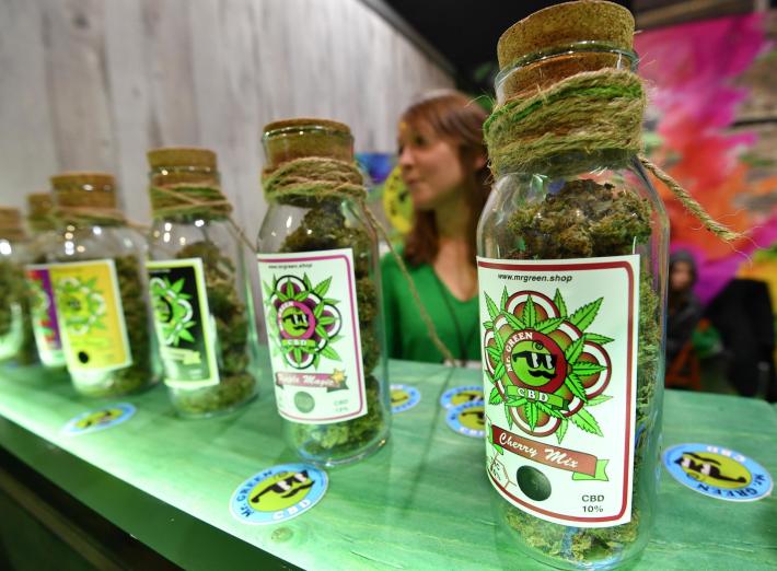 La Cassazione decreta la fine della vendita della Cannabis light