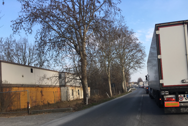 Auto contro un albero a Sanguinaro all'alba: un ferito