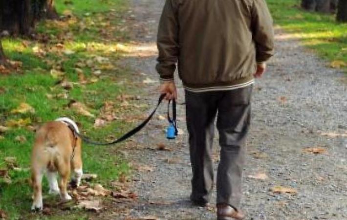 Cane intossicato dalla droga a Zibello: ha ingerito marijuana