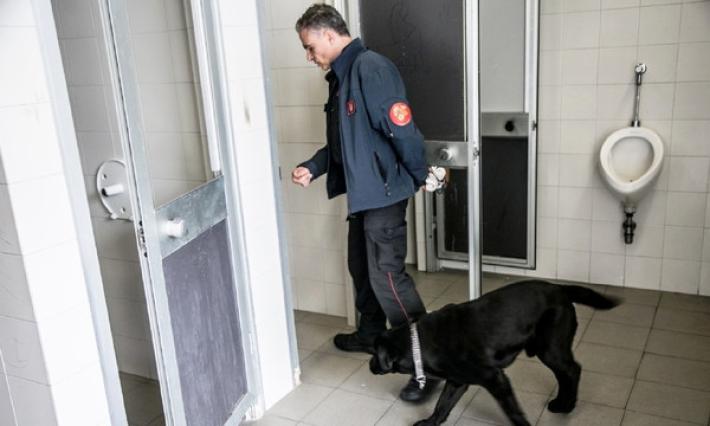 Droga nel bagno del Bodoni