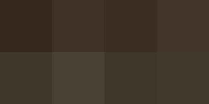 Sant'Antonio, protagonisti gli animali