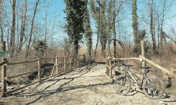 Il Parco del Taro e il cane al guinzaglio