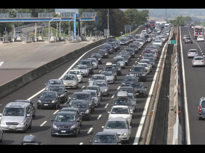 Tir si ribalta e perde il carico, mucche in autostrada sulla A4
