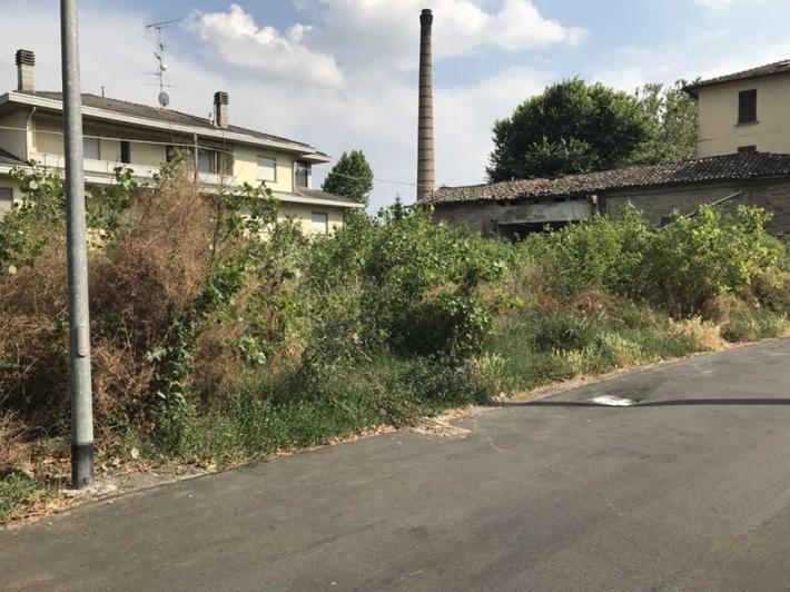 Sterpaglie, topi e sporcizia a Pilastrello